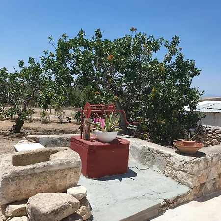 Mitsakos Golden House Aegina